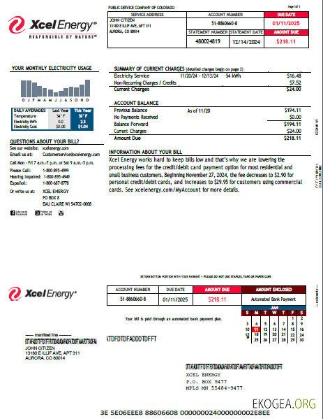 USA Xcel Energy utility bill template in Word and PDF formats, version 2